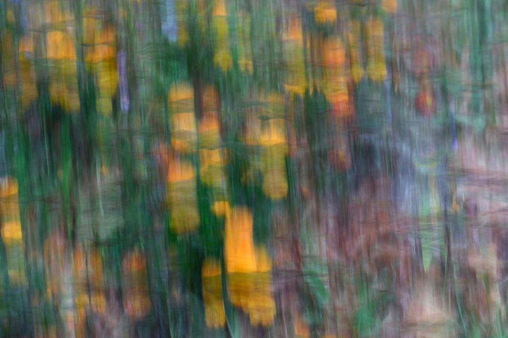 icm
