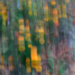icm