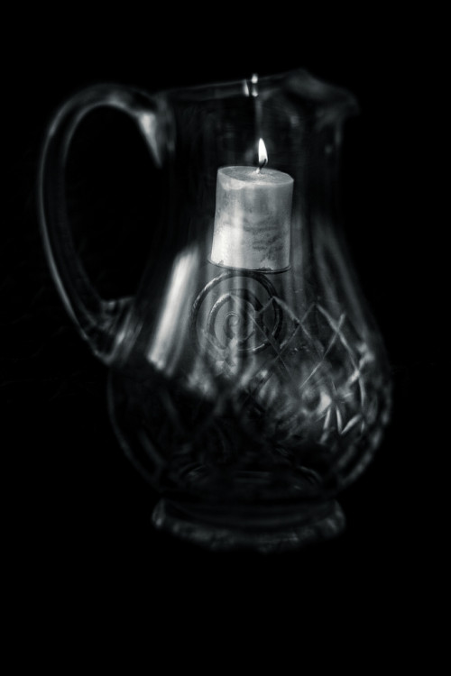 Pohltené