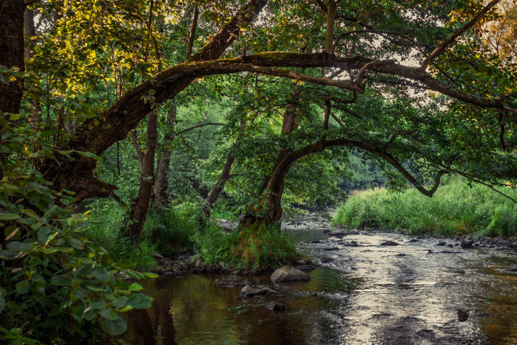 Slovenská Amazónia
