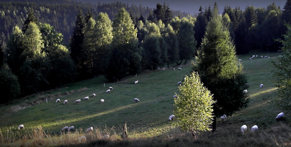 Beskydské pastorále