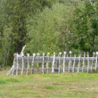 Výstava