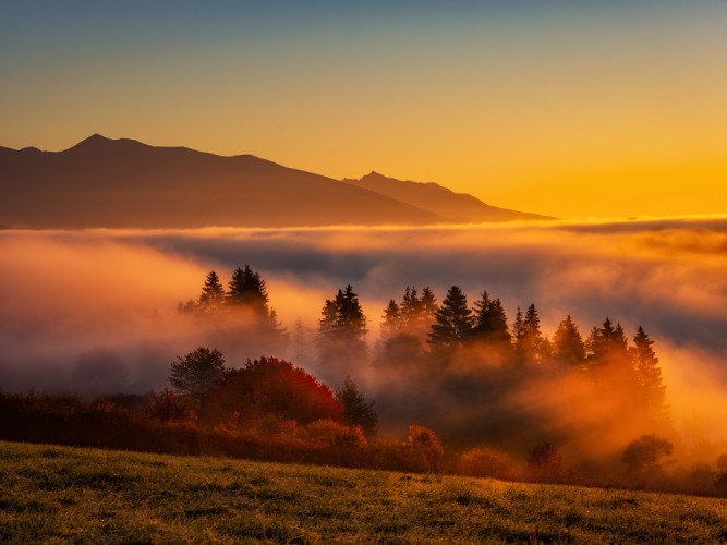 SLÁVA SVETLU LIPTOV