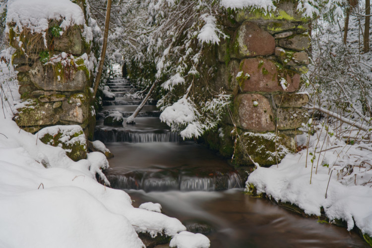 Pani Zima prišla....