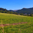 Lietavsky hrad