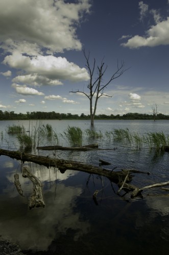 Doubravská kaliště a laguny