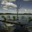 Doubravská kaliště a laguny