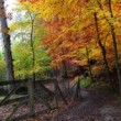 Autums's colors
