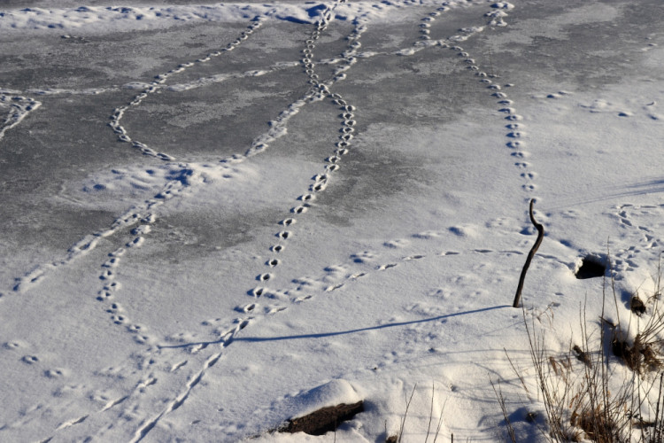 Stopy sTopy stOpy stoPy stopY