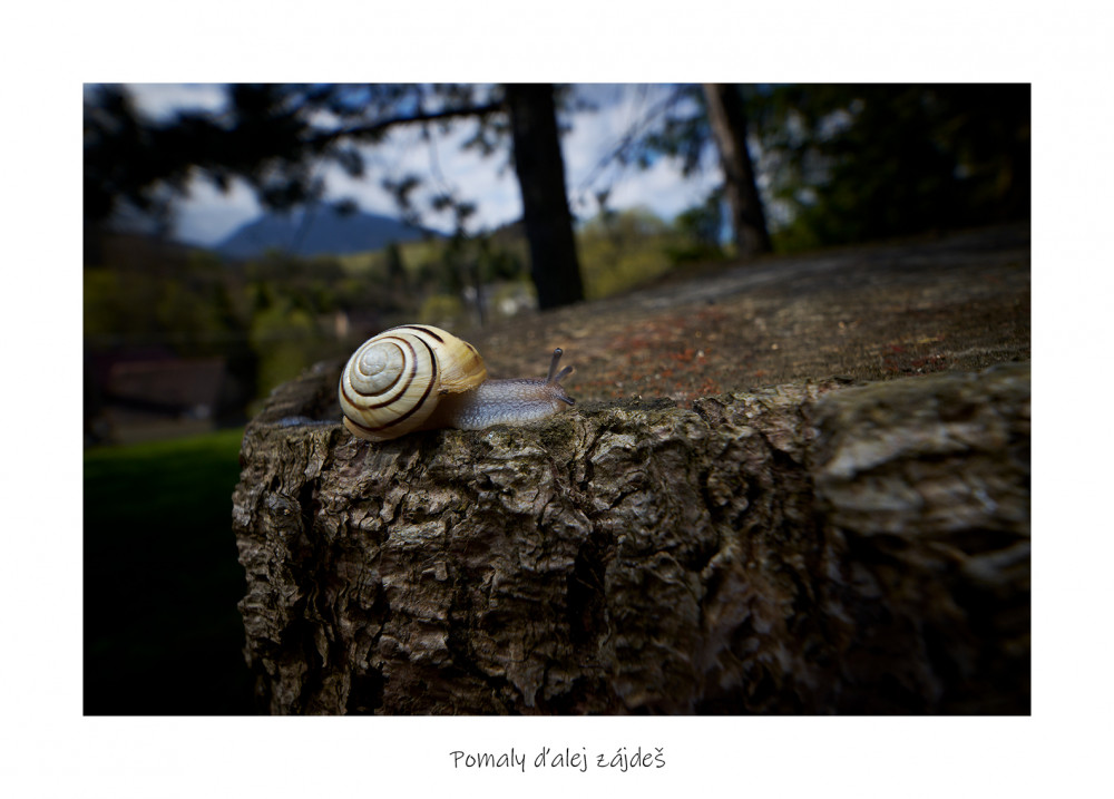 Pomaly ďalej zájdeš