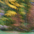 Intentional Camera Movement (ICM)