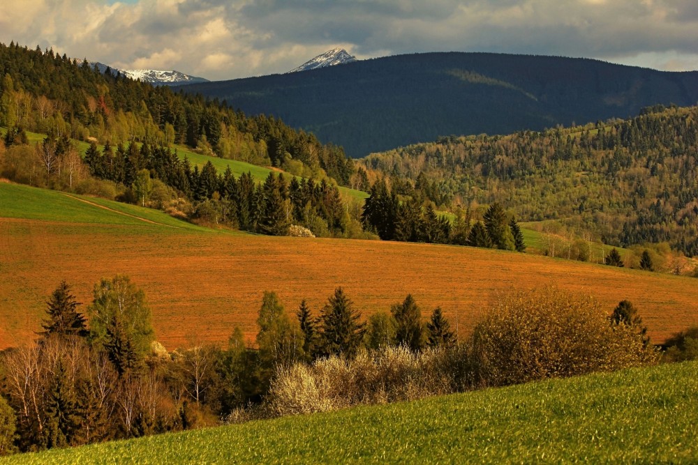 Oravské línie