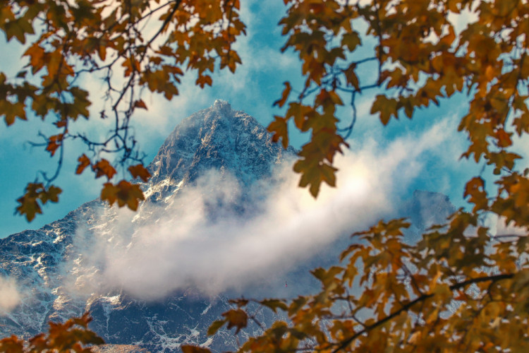 Medzi jeseňou a zimou