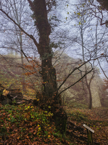 Malokarpatská jeseň