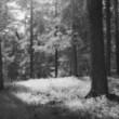 IR