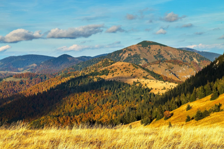 Rakytov