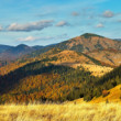 Rakytov