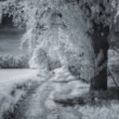 IR