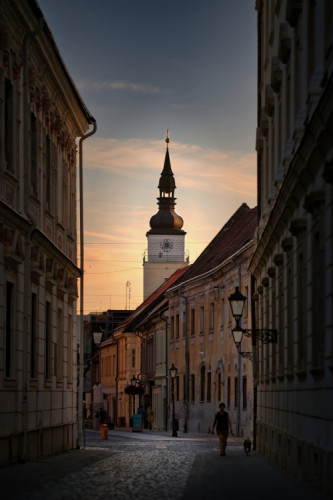 Schneiderova