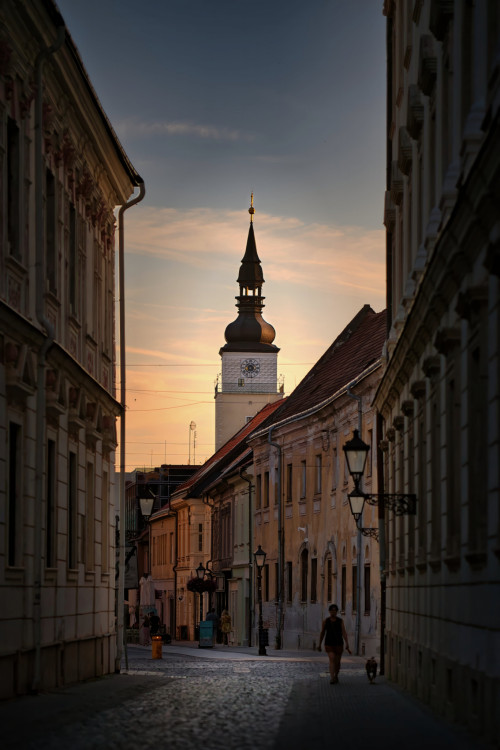 Schneiderova