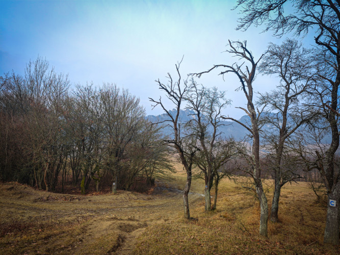 Súľovské vrchy