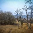 Súľovské vrchy