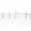 .. minimal ...