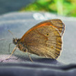 Na foto-taske