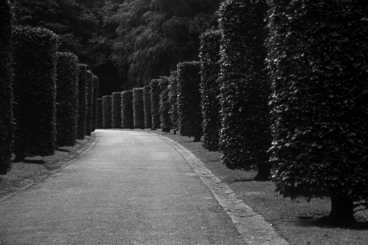 Park pri Atomiu, B/W