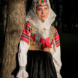 Večer v Ždiari