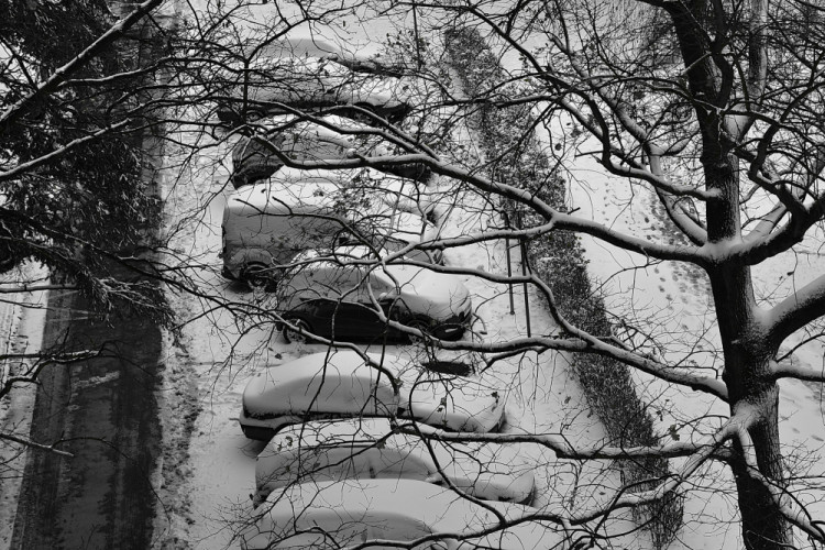 První sněhová nadílka