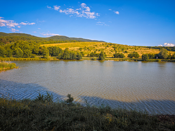 Striebornica