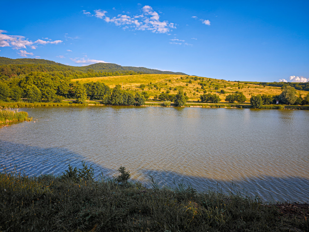 Striebornica