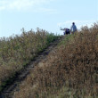 Gödény - halom - hraničný kopec