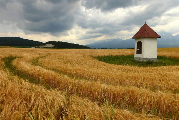 Na zelenom ostrovčeku