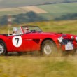 Austin-Healey pan 2