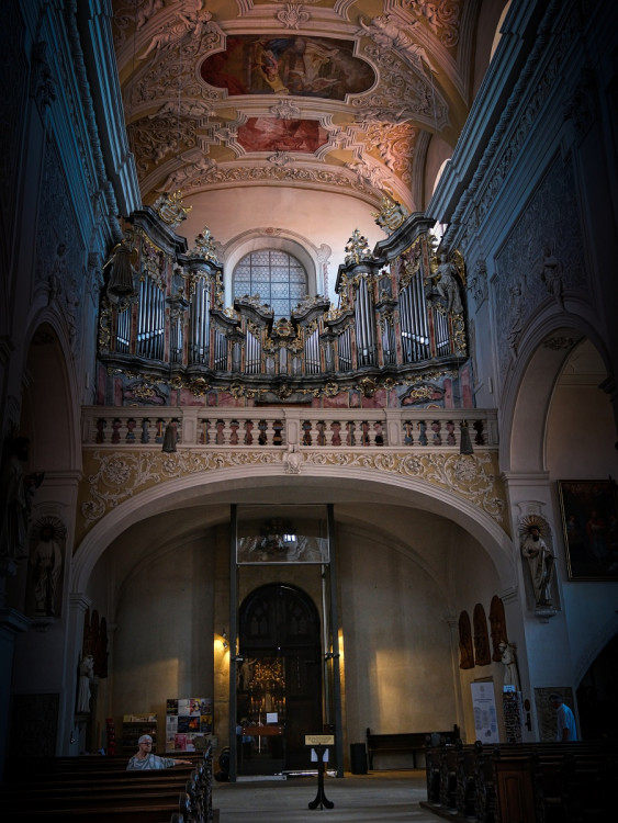 Organ