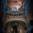 Organ