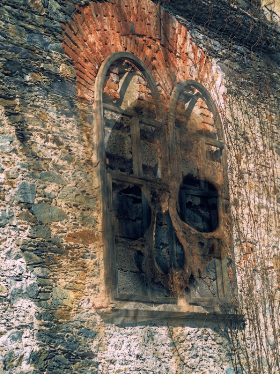 Pán domu