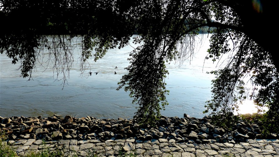 Prelet nad Dunajom a Moravou