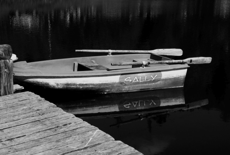 Sally