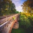 Marcheggský viadukt
