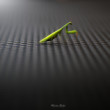 Alone