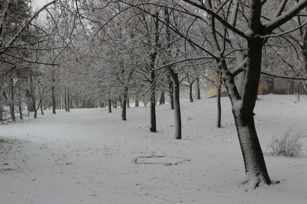 prvé sneženie