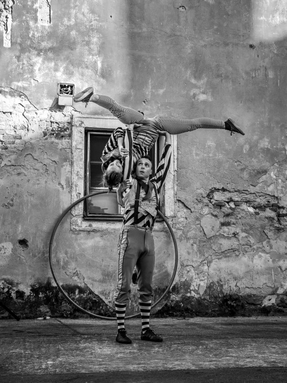 Cirkusanti
