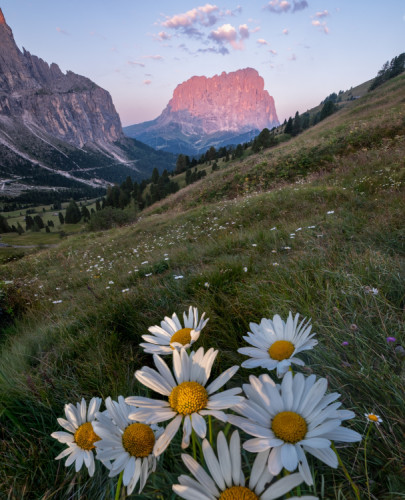 Ranné Dolomity
