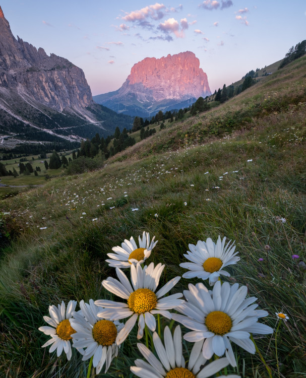 Ranné Dolomity