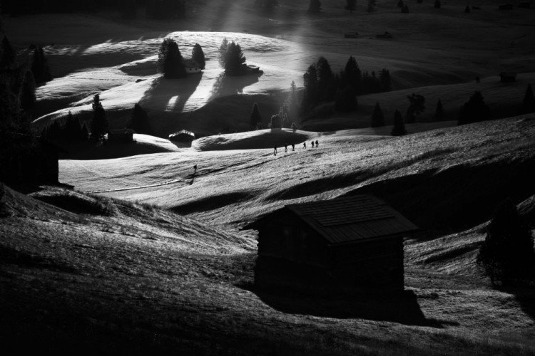 Alpe di Siusi...in black and white