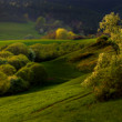 Zlatá hodinka