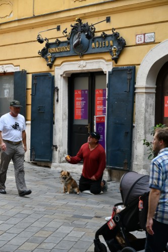 pomožte mne aj psikovy